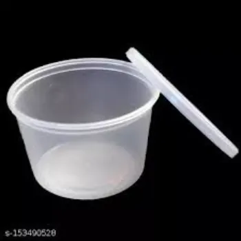 Disposable Plastic Food Container